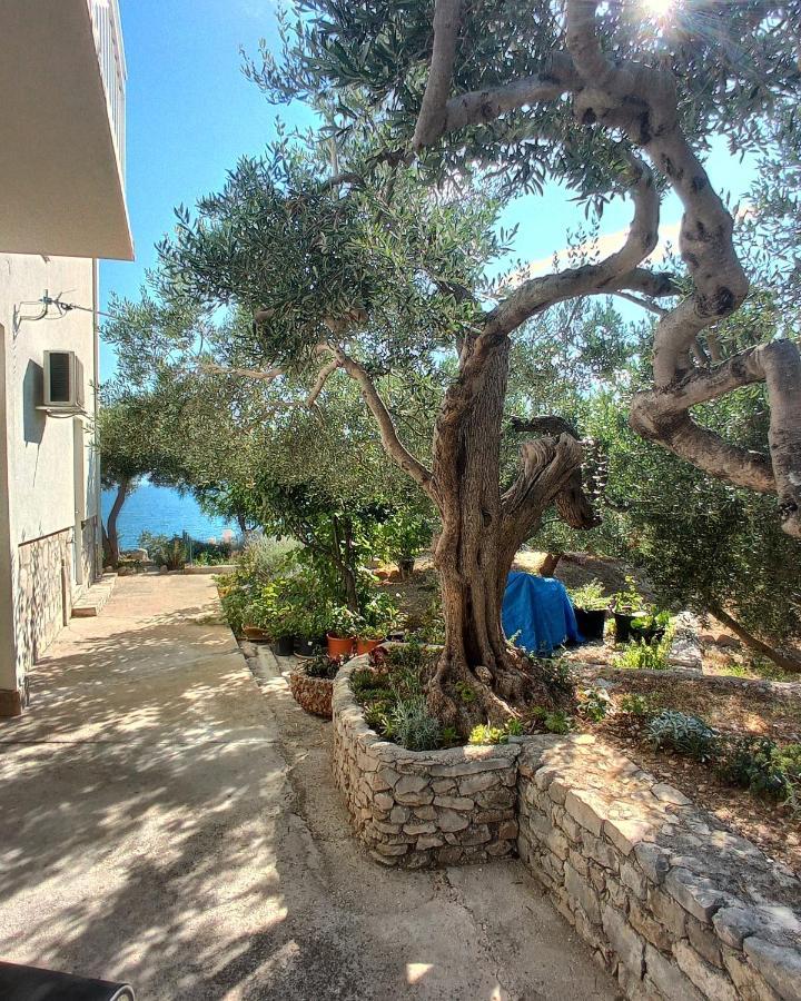 Casa Del Olivo Appartement Tučepi Buitenkant foto